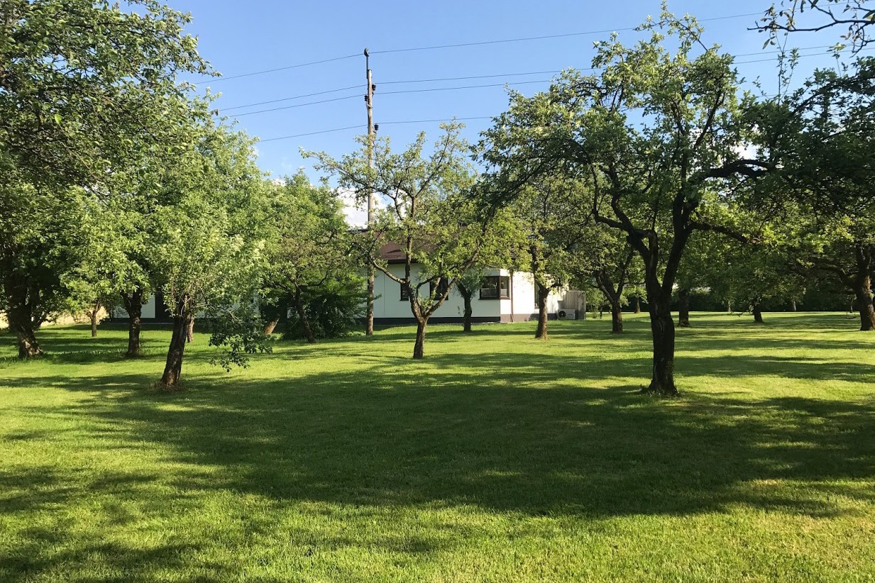 Haus Garten Pflege.at IzetMuzaferovic Rasenfläche uai